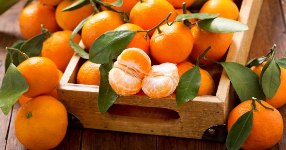 orri mandarines
